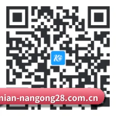 系统版 iOS 二维码